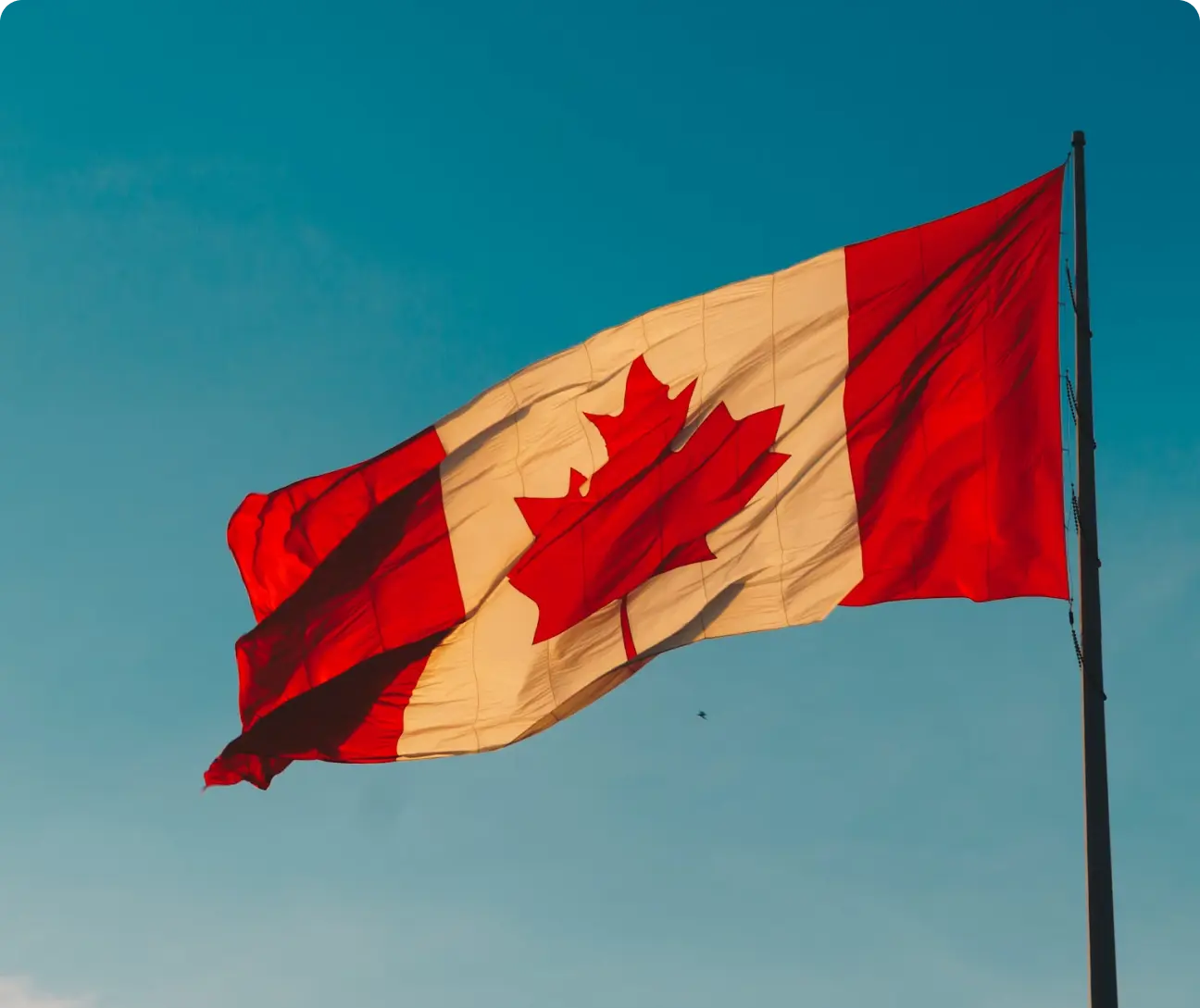 Cultural shocks I experienced when I got to Canada